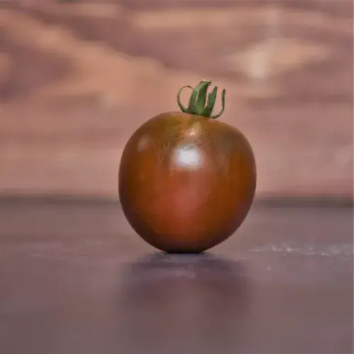 Plantgoed - Black prince tomaat
