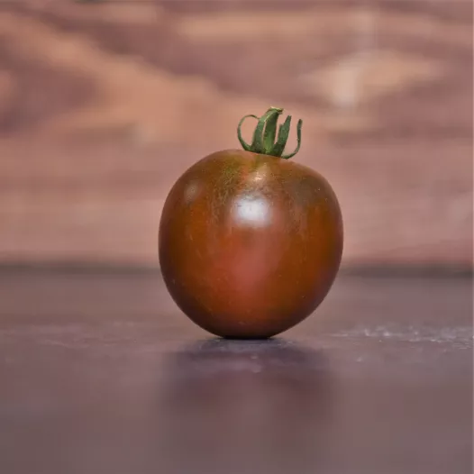 Plantgoed - Black prince tomaat